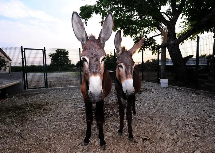 Séjour à la campagne Al Barco Sommacampagna