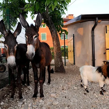 乡村民宿 Al Barco *